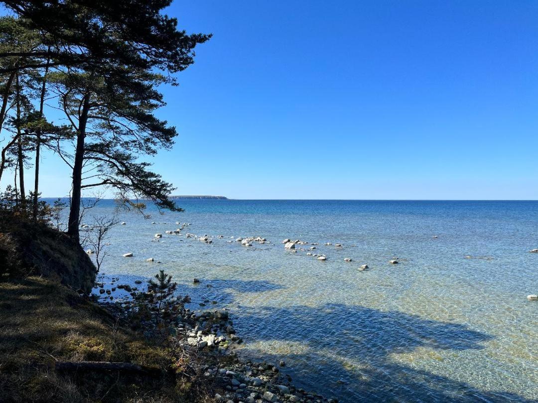 Froejel Resort & Spa Екстер'єр фото